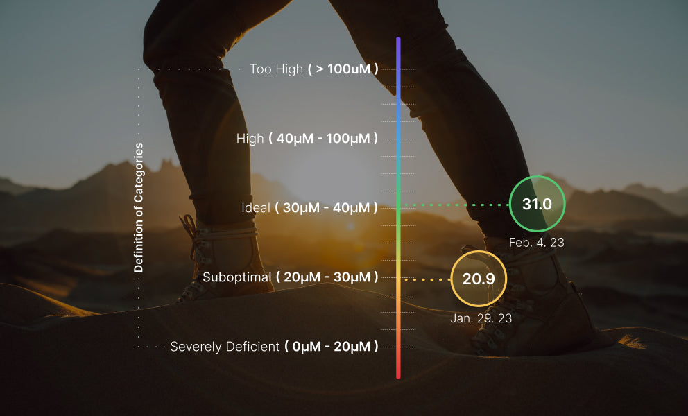 Graph overlay on hiker background showing vitamin D levels and categories.