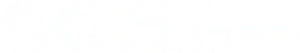 Ion Layer